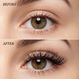 Signature 10-Pair Magnetic Lash & Eyeliner Kit - Waterproof All-Day Hold