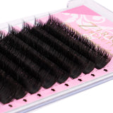 V Shape Eyelash Extensions C Curl 0.15mm Single Length 8-12mm