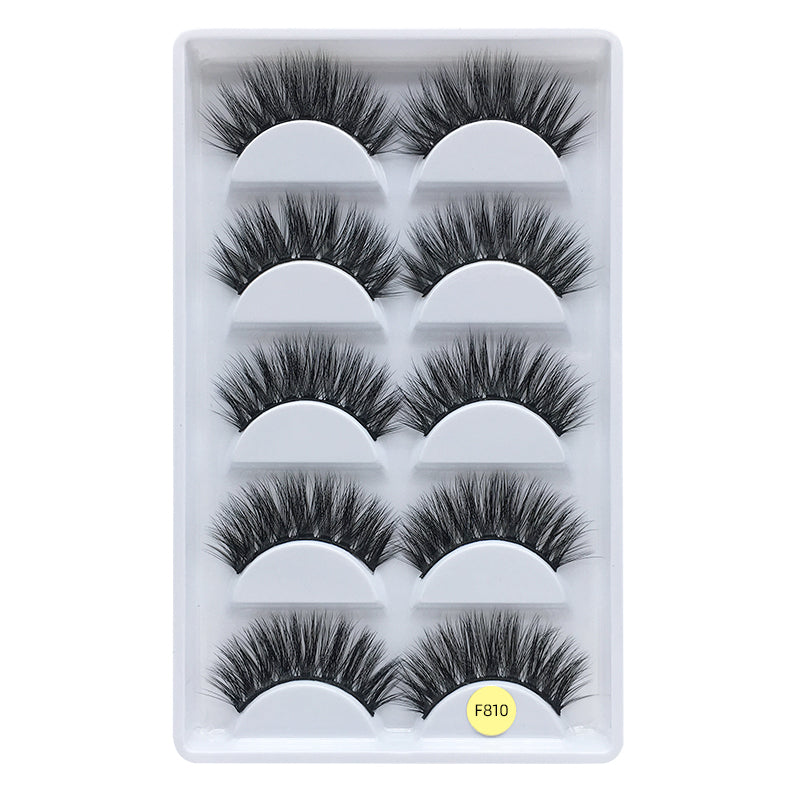 Faux Mink False Eyelashes Pack of 5 Pairs F810