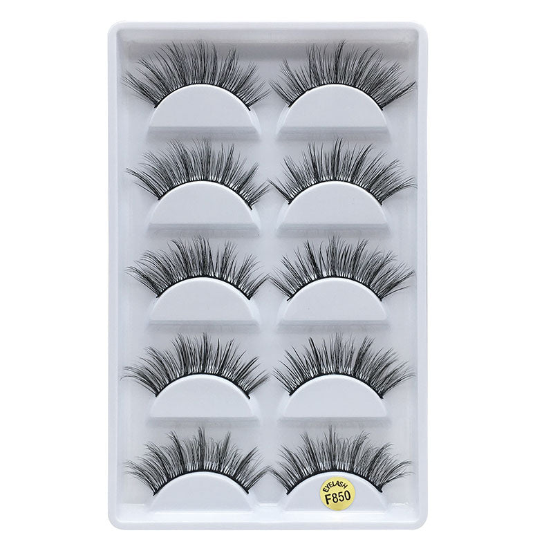 3D Mink Eyelashes Natural 5 Pairs F850