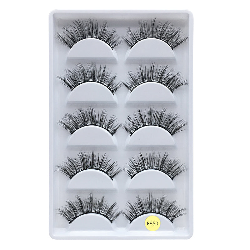 Faux Mink False Eyelashes Pack of 5 Pairs F850