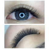 Volume Eyelash Extensions B C Curl 0.05mm Single Length 8-12mm